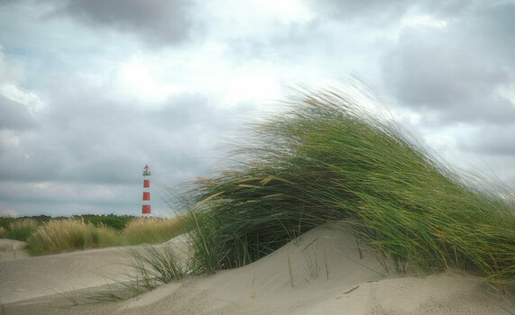 wind2.jpg
