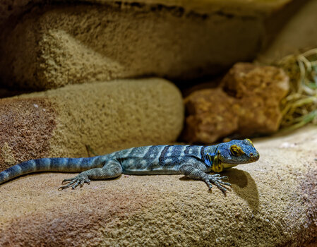 750_5794_DxO.jpg