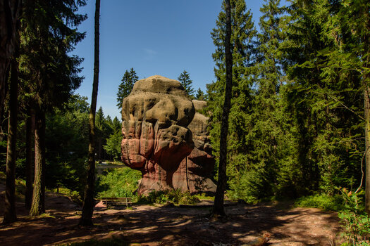 750_5915.jpg