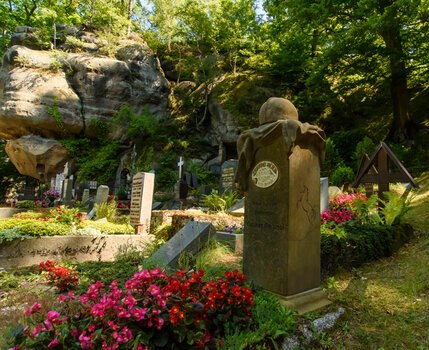 750_5900.jpg