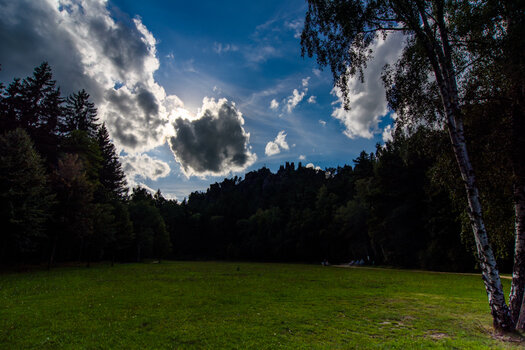 750_5670.jpg