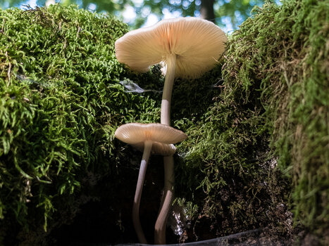 DSCF7185.jpg