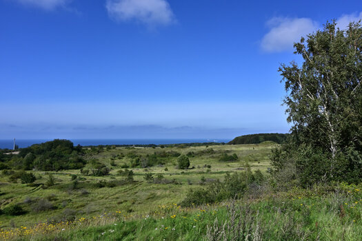 20230820_154335_nf.JPG