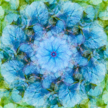 202208_Kaleidoskop_210_C1_1200.jpg