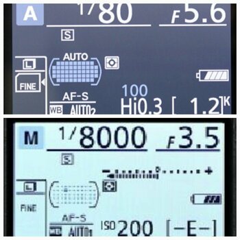1000011667.jpg