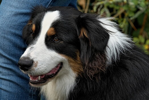 OLD 2023 -223.jpg
