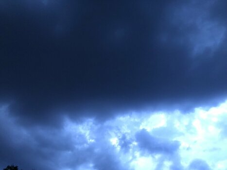 IMG_1785.jpeg
