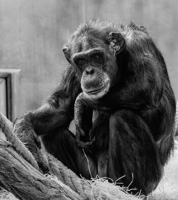 750_6107_DxO-Bearbeitet-Bearbeitet.jpg