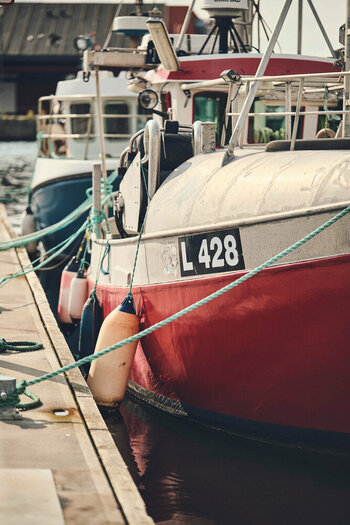 DSCF0319.jpg