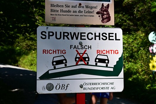 DSC_1786_k.jpg