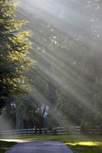 192_morgensonne.jpg