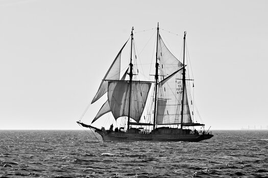 20230906_165739bw_nf.JPG