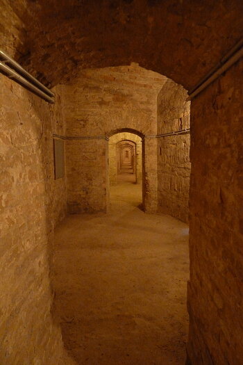 P1070651.JPG