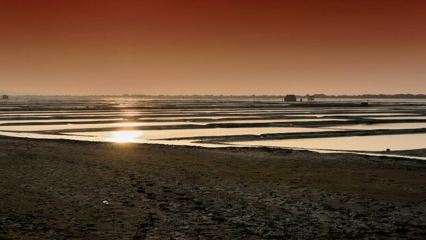 DSC_1357_6723_DxO.jpg
