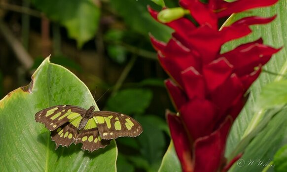 _DSC4382_DxO - Kopie_DxO.jpg
