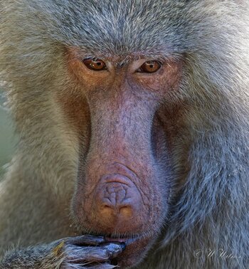 DSC_9616_DxO - Kopie_DxO.jpg