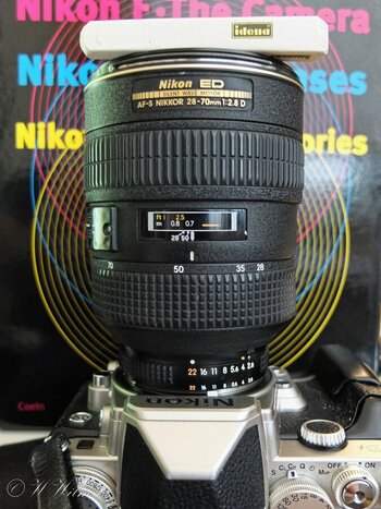 DSCF5990_DxO.jpg