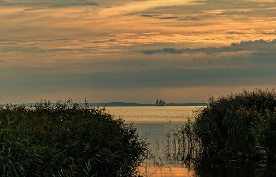 750_6360_DxO-Bearbeitet.jpg