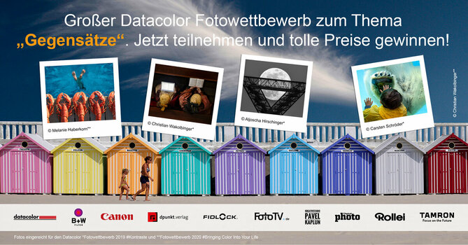 Foto einer Reihe bunter Strandhäuser mit davor laufender Frau mit Kind. Darüber vier quadratische Fotos hängend mit unterschiedlichen Motiven. Taucher, auf den Hummer in einer Reihe liegend blicken, 2 Menschen von oben auf den Kopf abgelichtet mit aufgeschlagenen Büchern in der Hand, Mond hinter einem Stahlgerüst, Kind vermeintlich in einem Ozeanum, hält Hand an Glasscheibe, dahiner Eisbärpranke. 