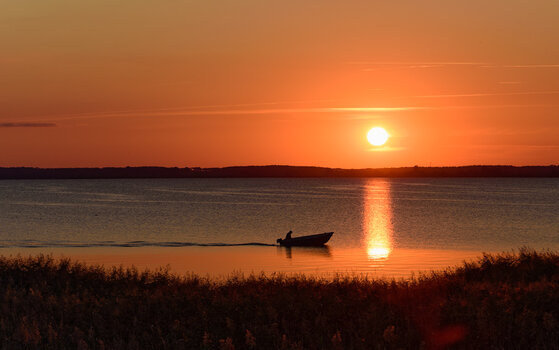 750_6520_DxO.jpg