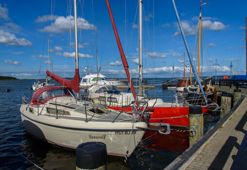 750_6454.jpg