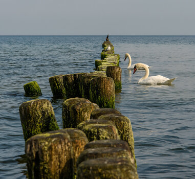 750_6306-Bearbeitet.jpg