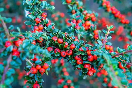 comp_DSCF6188.jpg comp_DSCF6188.jpg