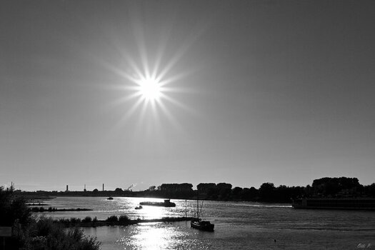 _OPI5157_DxO.jpg