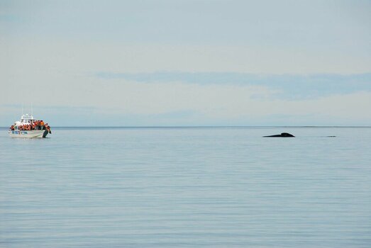 2023-10-04_09-39-14.jpg