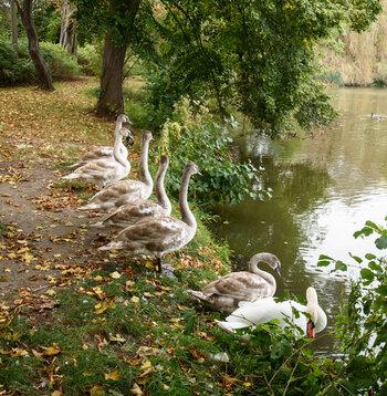 750_6636.jpg