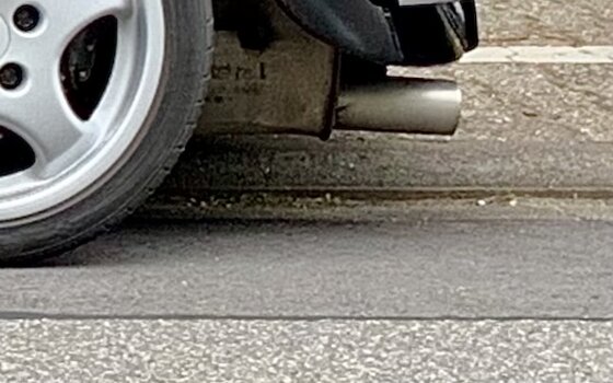 IMG_6072.jpeg
