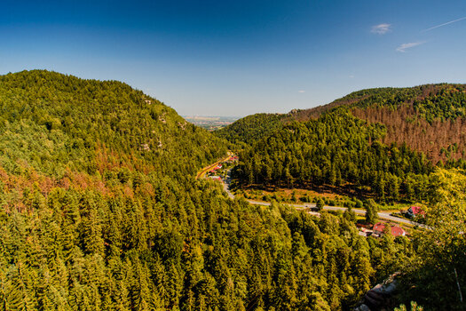 750_5874-Bearbeitet.jpg
