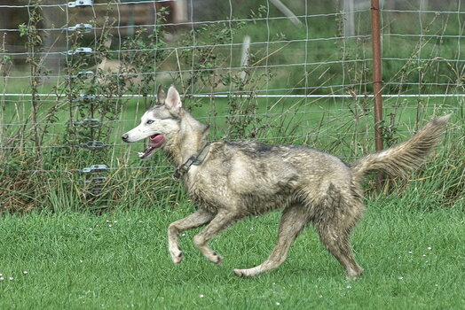 DFX_3816.jpg