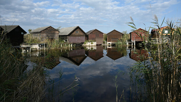 DSC_6127_DxO.jpg