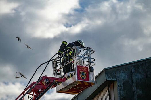 comp_DSC_5007.jpg