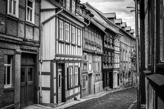 750_3617-Bearbeitet-Bearbeitet.jpg