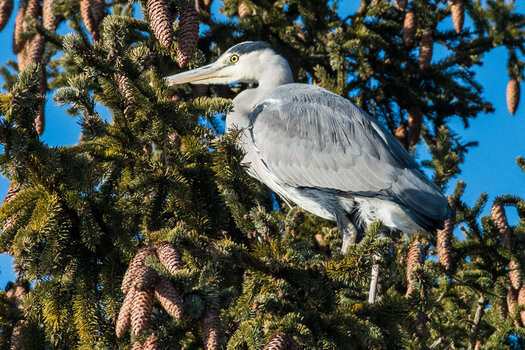 DSC_2627 zn 900.jpg