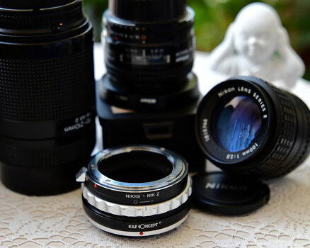 DSC_5917_1.jpg