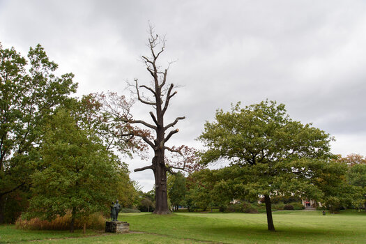 750_6832.jpg