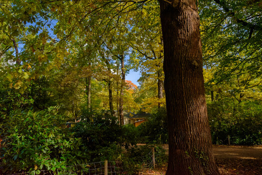 750_6865_DxO.jpg