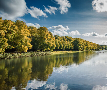750_6854-Bearbeitet.jpg