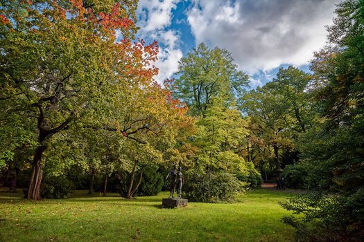 750_6862_DxO-Bearbeitet.jpg