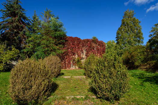 750_6782.jpg