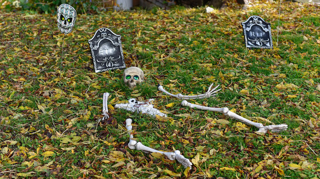 Happy-Halloween_CAN_DxO.jpg