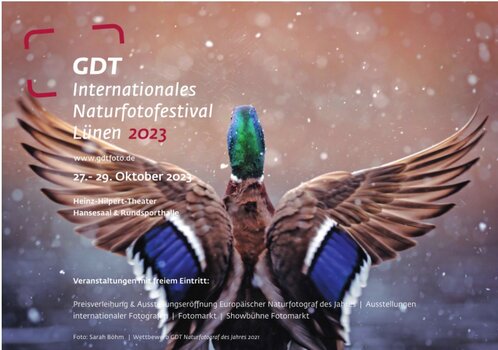 GDT-1.jpg