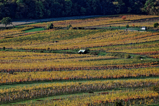 DSC_3413_DxO_DxO_DxO.jpg