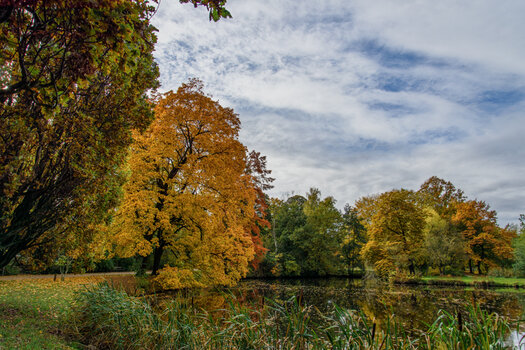 750_6906-Bearbeitet.jpg 750_6906-Bearbeitet.jpg