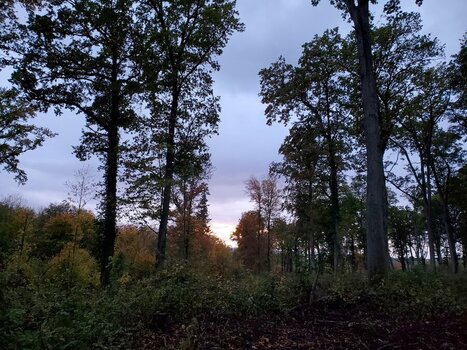 20231031_170437.jpeg