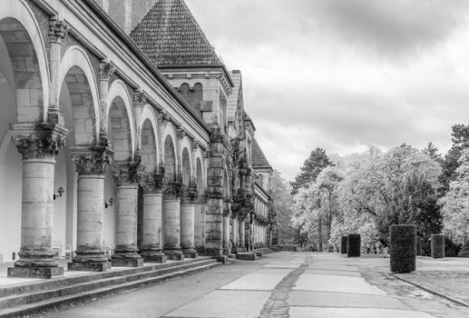 750_6972-Bearbeitet-Bearbeitet.jpg
