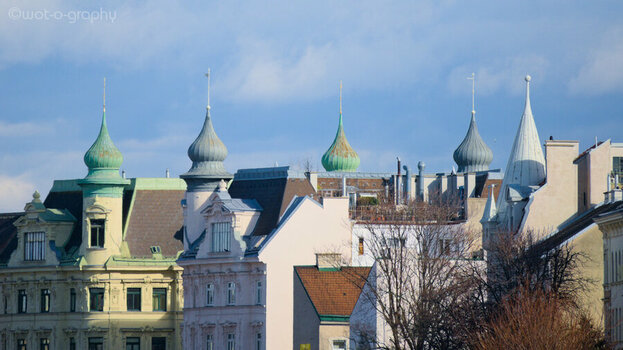 DSC_0065.jpg